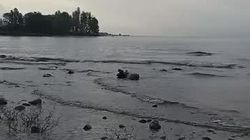 Пляж Иссык-Куля в Бостери весь в мусоре. Видео
