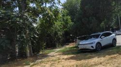 Парковка на газоне на Тыныстанова. Фото