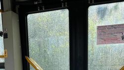 Горожанин жалуется на грязные стекла в автобусе. Фото