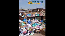 Из жилмассива Красный Строитель третью неделю не вывозят мусор, - местные жители