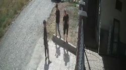 Три подростка несколько минут стояли у ворот дома в Кок-Жаре, но убежали, когда вышел хозяин. Видео