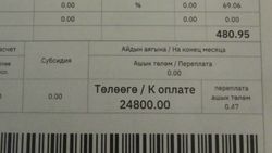 У бишкекчанки неоплаченные счета на сумму 25 тыс. сомов за услуги «Бишкектеплосеть»