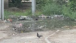 Возле мусорных баков в 8 мкр образовалось «болото». Фото горожанина