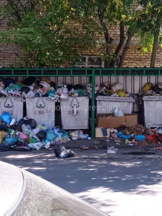 На ул.Шопокова пакеты с мусором вываливаются из баков. Фото