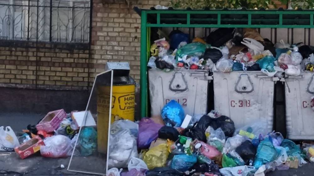 На ул.Шопокова пакеты с мусором вываливаются из баков. Фото