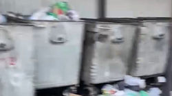 Горожанка просит помыть мусорные баки на Айтматова. Видео