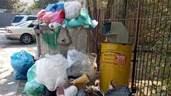 Два мусорных бака на 102 квартиры. Горожанин жалуется на мусор на Тоголок Молдо. Фото