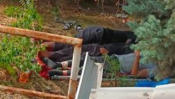 Неизвестные мужчины спят в кустах на Киевской. Фото