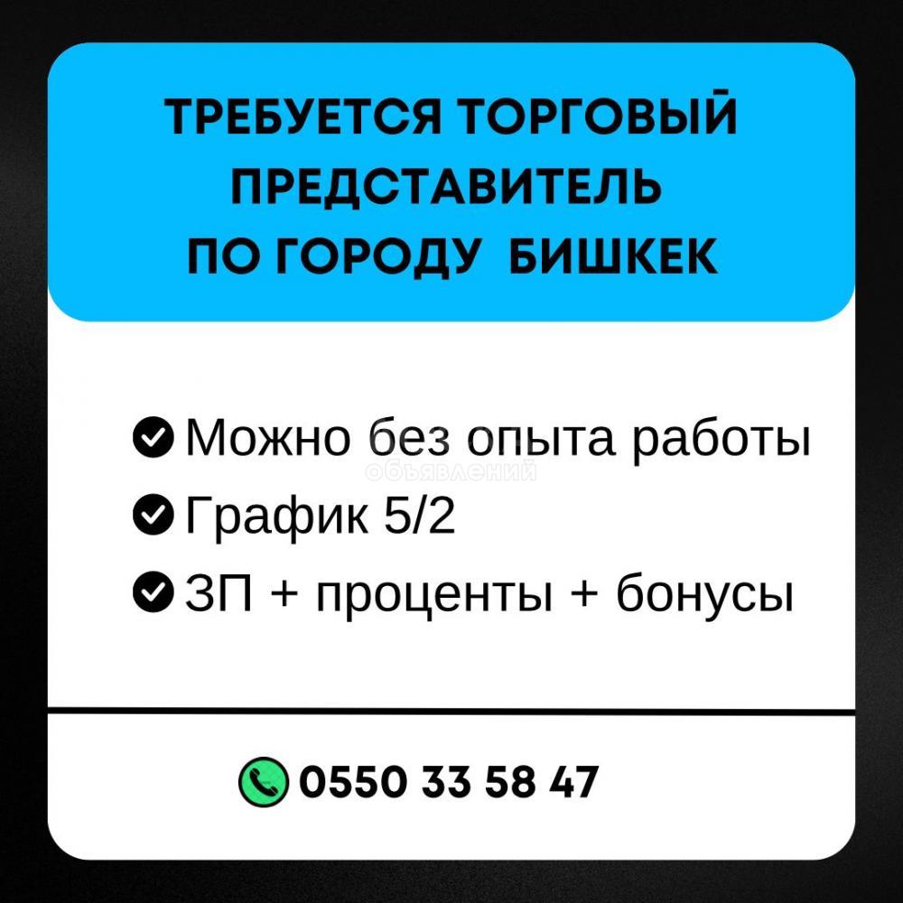 Требуется торговый представитель по городу Бишкек
