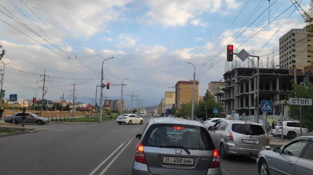 Горожанин просит сократить количество пешеходных переходов на Тыналиева. Фото