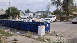 На ул.Баха мусор из баков разлетается на всю округу. Видео