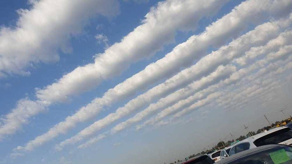 «Облачные грядки» в небе над Бишкеком. Фото