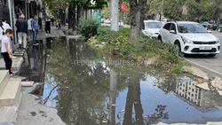 «Бишкекзеленхоз» очистит арык на проспекте Чуй
