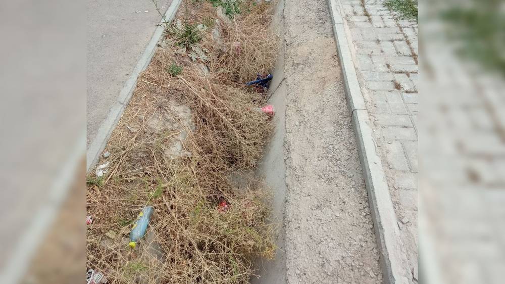 Арыки в Ак-Ордо забиты мусором. Фото