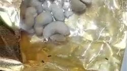 В упаковке орехов, купленных в «Босого», обнаружены насекомые. Видео