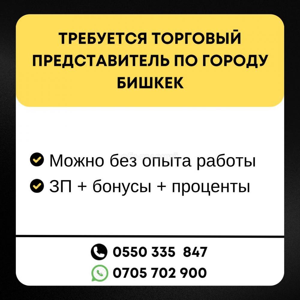 Требуется торговый представитель костанай. Требуется торговый представитель