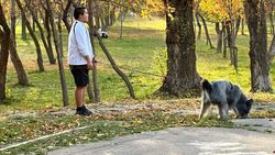 В парке им.Даира Асанова выгуливают собак, несмотря на запрещающий знак. Фото