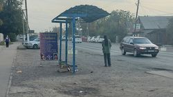 В Нижней Ала-Арче возле остановки стихийно продают ГСМ. Фото