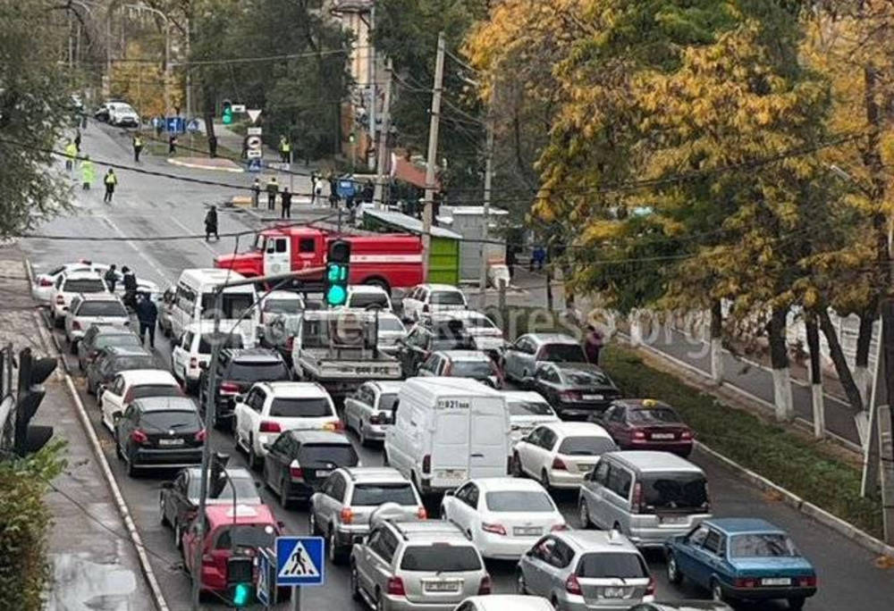 «Пусть эти курицы сидят дома?» Жители Бишкека жалуются на «меры безопасности» во время приезда гостей