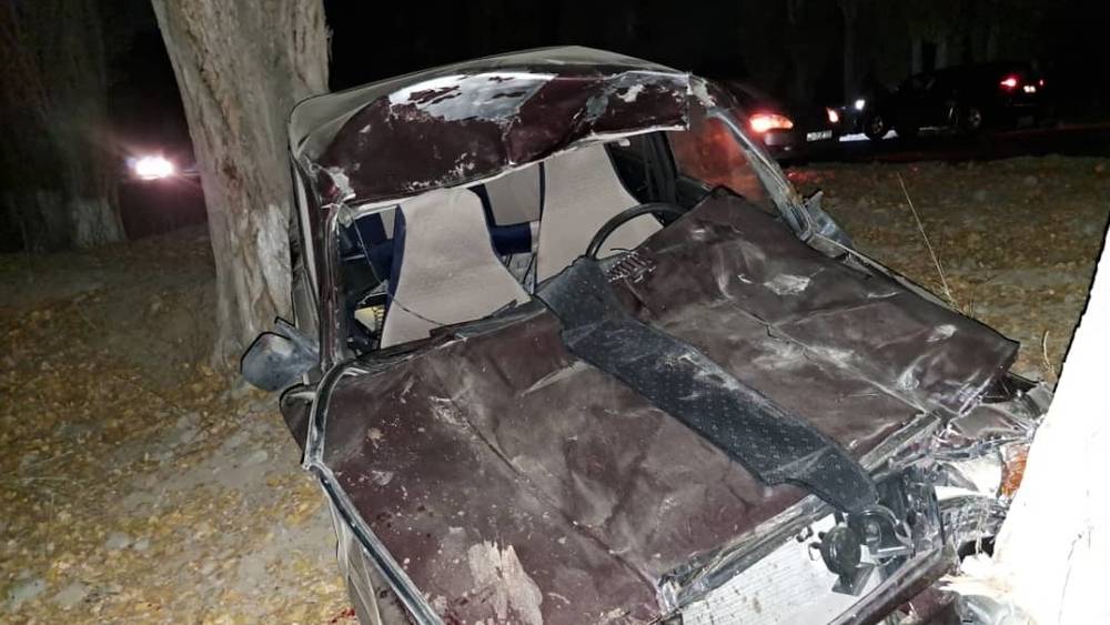 Недалеко от Балыкчы водитель сбил лошадь и врезался в дерево