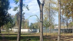 В парке Фучика строят физкультурно-оздоровительный комплекс, - мэрия