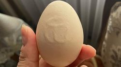 Горожанка обнаружила необычное яйцо. Фото