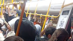 Автобус №212 забит до отказа. Фото горожанки