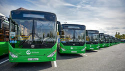 БПАТП планирует запустить автобусный маршрут в Ак-Өргө по ул.Льва Толстого