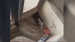 Горожанин жалуется на грязь в новых автобусах. Видео
