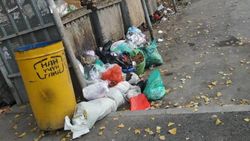 На Валиханова/Кольбаева и на проспекте Победы в Лебединовке не убирают мусор, - горожанин