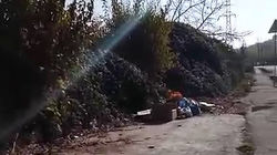 На ул.Тилеке-Баатыра в Оше убрали мусорку, а жители продолжают оставлять пакеты. Видео