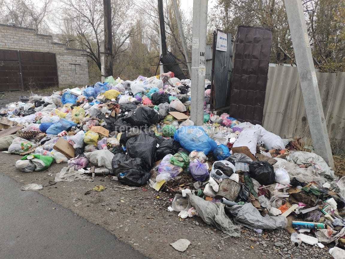 Огромная гора мусора в Новопокровке. Фото жителя