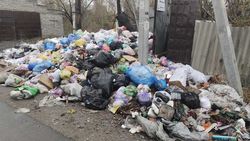 Огромная гора мусора в Новопокровке. Фото жителя