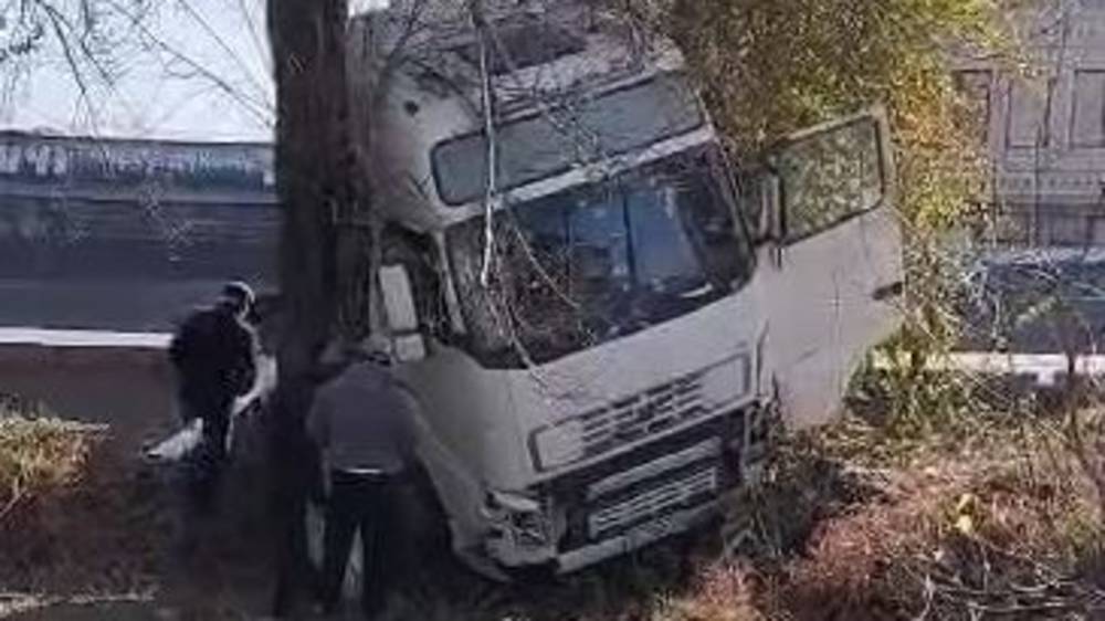 В Новопавловке фура застряла между деревьями. Видео
