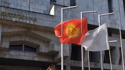 У входа в библиотеку им.Осмонова флаг Кыргызстана висит вверх тормашками. Видео