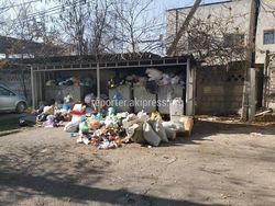 «Тазалык» забрал мусор из мусорных баков на Абдрахманова, 150
