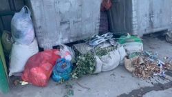 «Тазалык» трактором убрал мусор на Куренкеева-Табачной, - мэрия