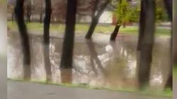 Бишкекчанин жалуется на затоп на Дэн Сяопина в дождь