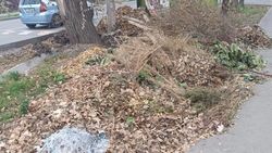 Возле мусорки на Дзержинской куча листвы и сухих веток. Фото