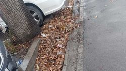 Арык по ул.Мичурина забит листвой и мусором. Фото