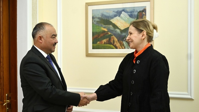 Parliament's Speaker suggests UNDP implementation of joint projects in field of environmental protection - Vimarsana News