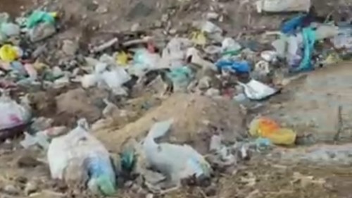 Видео — Пастбище в Жумгале превратилось в мусорную свалку — Экология АКИpress