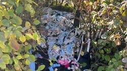 В кусты на ул.Ибраимова выбросили швейные отходы. Фото