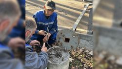 В парке «Ынтымак» идут ремонтно-восстановительные работы по освещению
