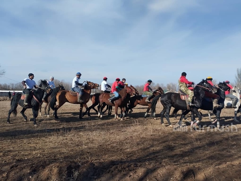 Employees of government agencies compete in horseback riding in Jeti-Oguz - Vimarsana News