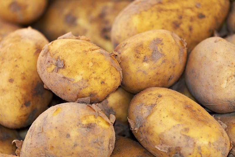 First batch of Naryn and Issyk-Kul potatoes reaches consumers in Tashkent - Ministry of Economy - Vimarsana News