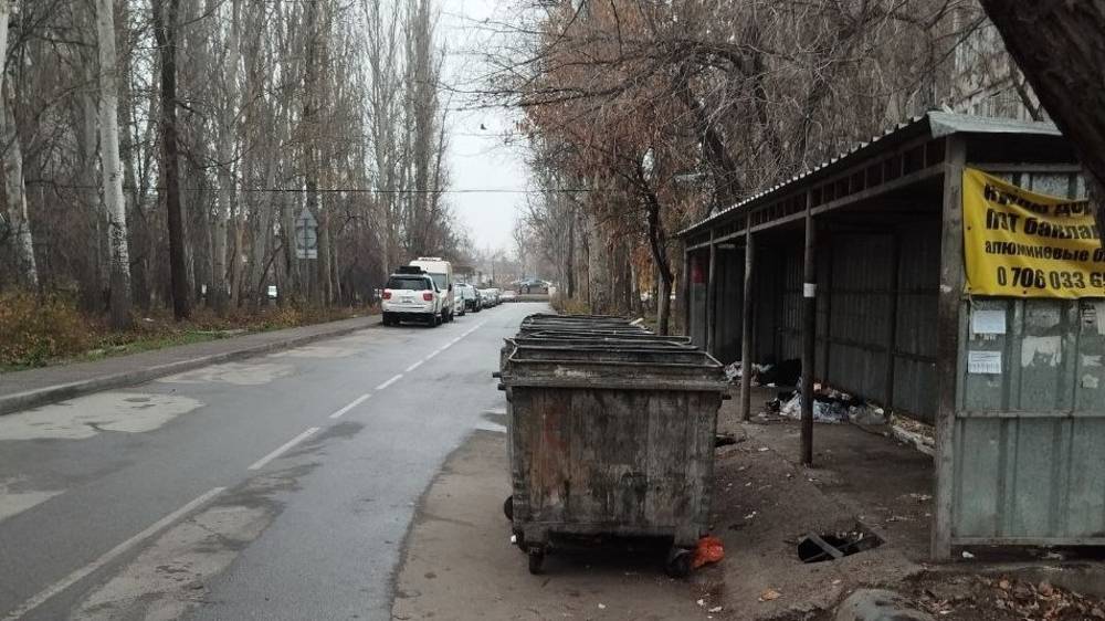 Горожанин просит «Тазалык» не выкатывать мусорные баки на проезжую часть. Фото