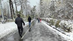 Почему на ул.Манаса очищают от снега только велодорожку? - горожанин