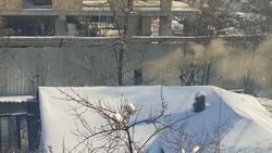 Горожанин жалуется на дым из трубы дома на ул.Коенкозова. Фото
