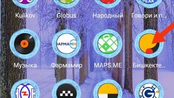 Горожанин жалуется на работу приложения «Бишкектеплосети»
